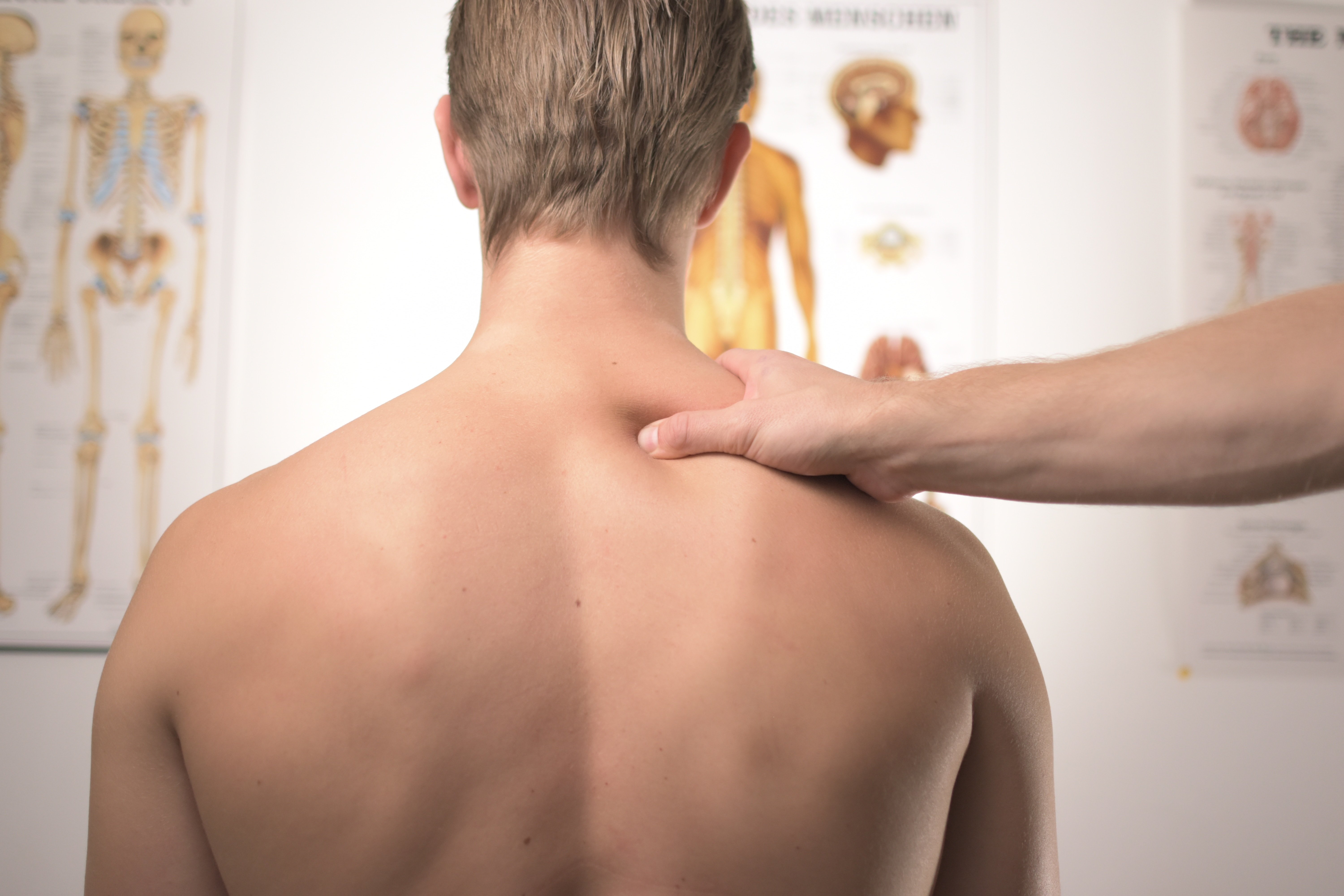 About Osteopathy. Horizontal shoulders